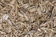 biomass boilers Gwastad